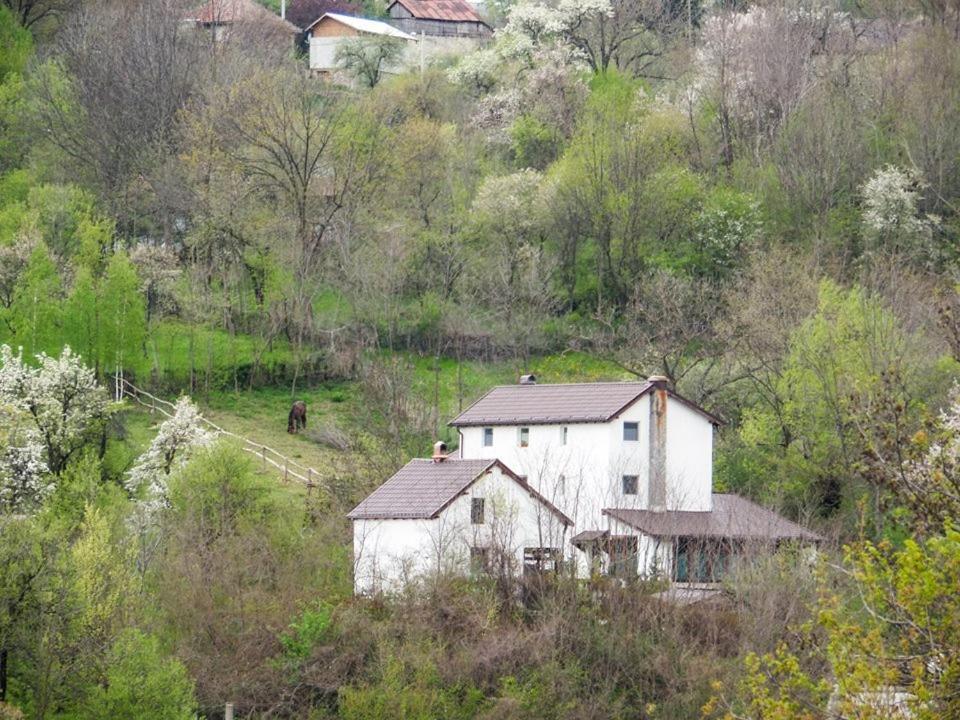 Casa Piscul Lupului Villa Pucioasa Buitenkant foto