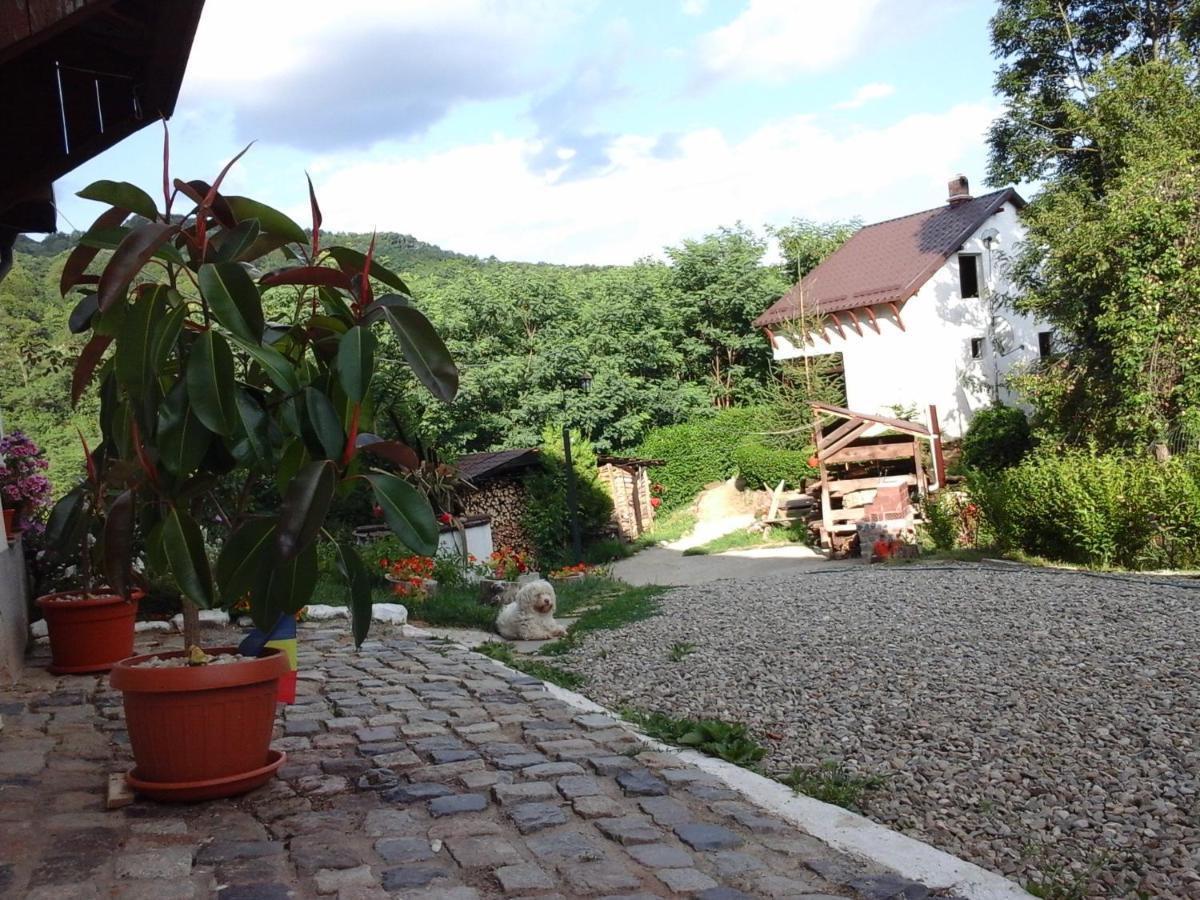 Casa Piscul Lupului Villa Pucioasa Buitenkant foto