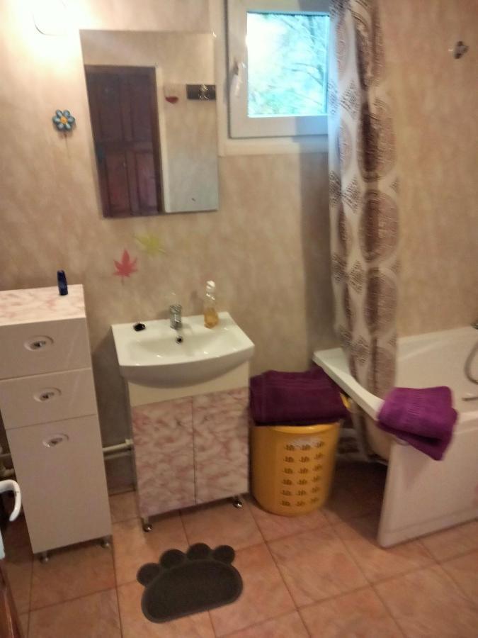 Casa Piscul Lupului Villa Pucioasa Buitenkant foto
