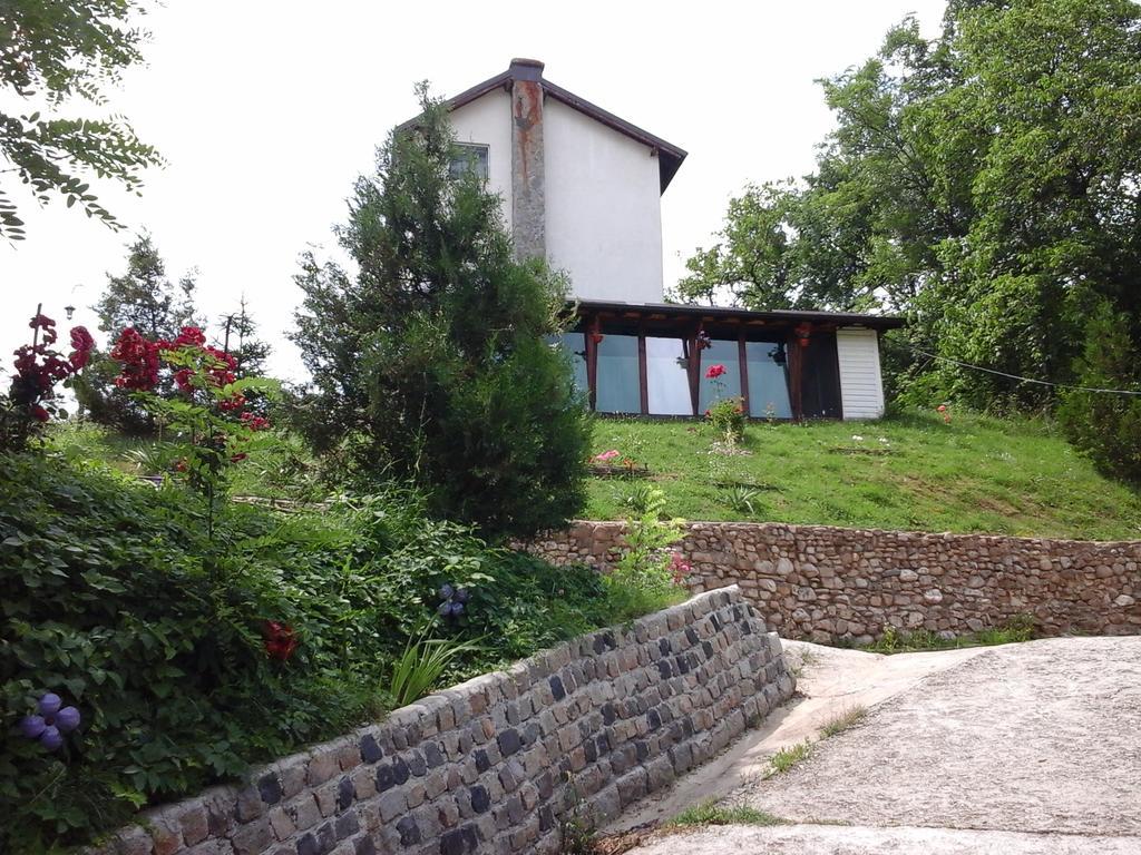 Casa Piscul Lupului Villa Pucioasa Buitenkant foto