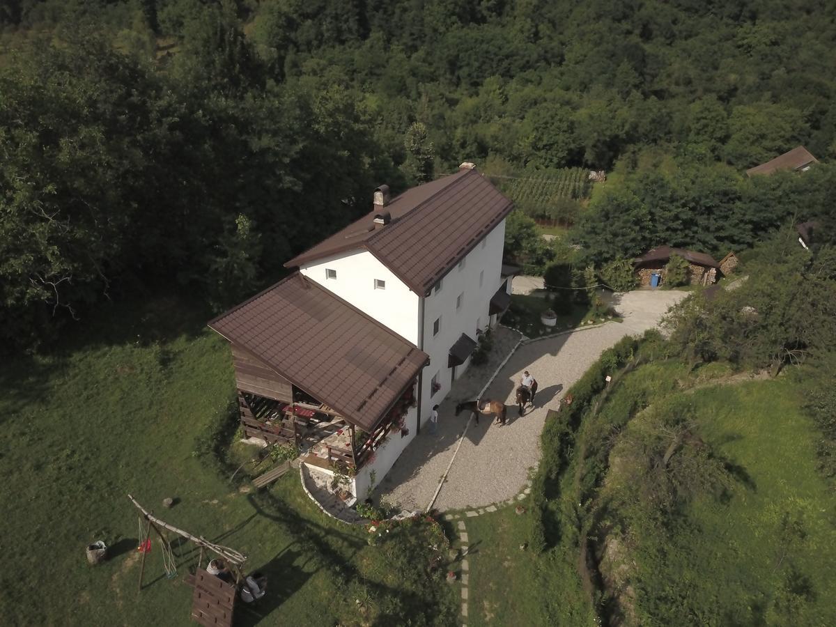 Casa Piscul Lupului Villa Pucioasa Buitenkant foto